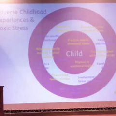 Panelists Discuss Aspects of Childhood Adversity at CHS Event